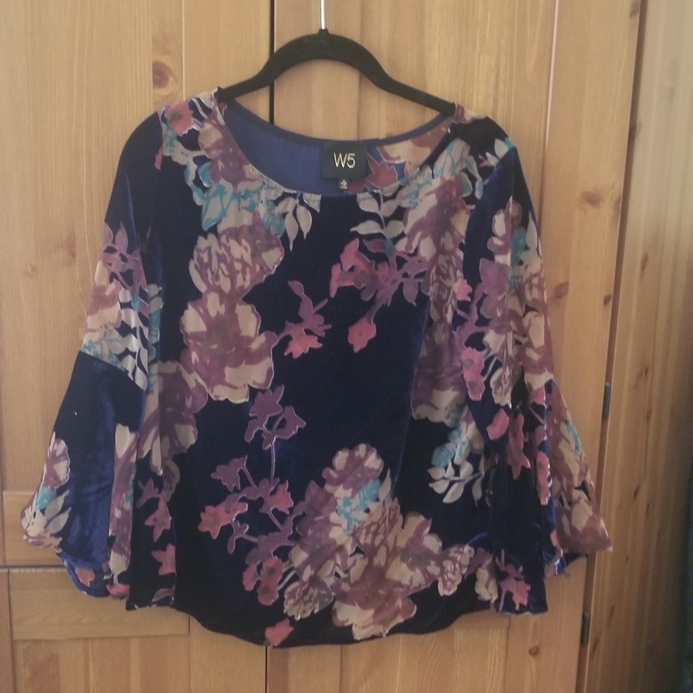 Sheer velvet top